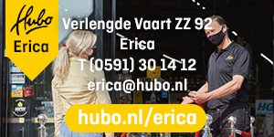 Hubo erica